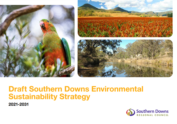 SDRC Draft Environmental Sustainability Strat