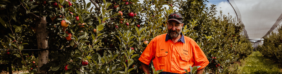 farm worker in front of apple trees