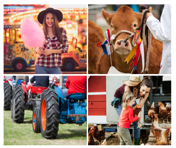 Agricultural Shows