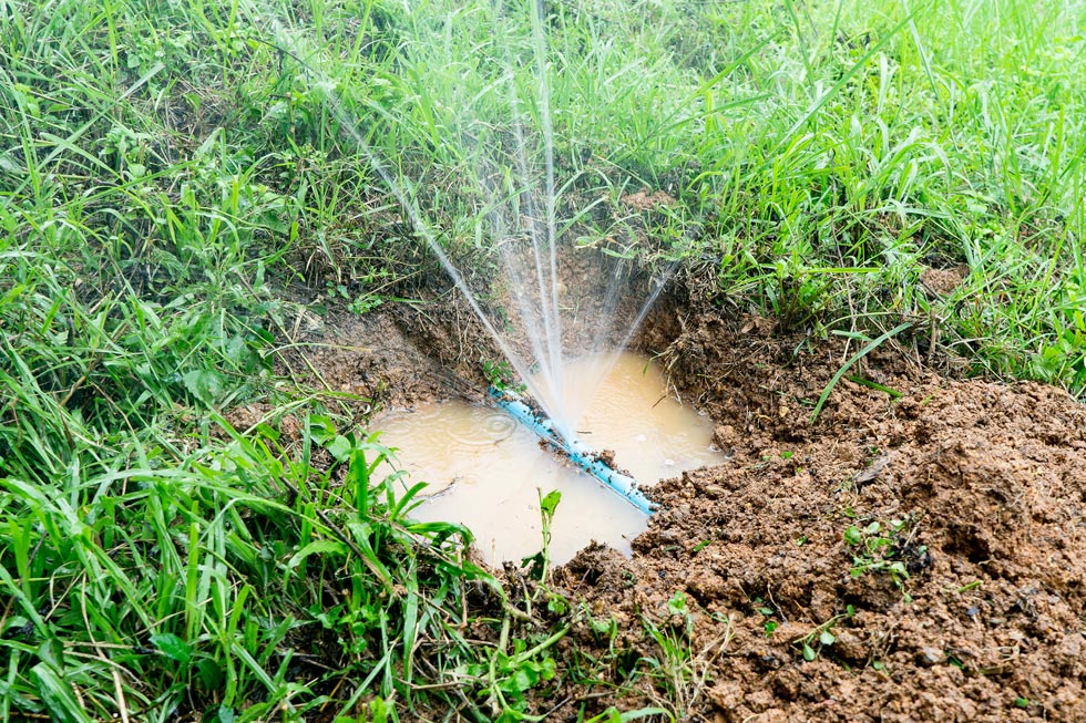 Picture contains a photograph of a leaking pipe in the middle of a lawn.