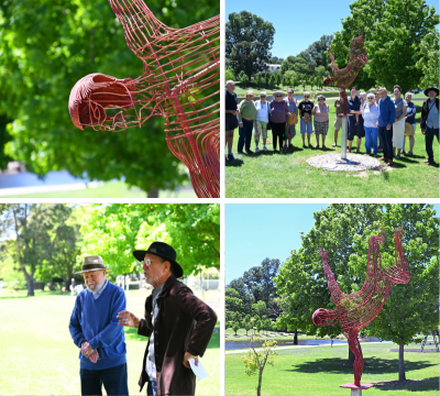 The Gymnast_Grouped Images for MR