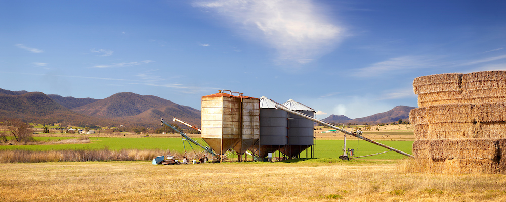 Scene of farm with silos and paddocks. 