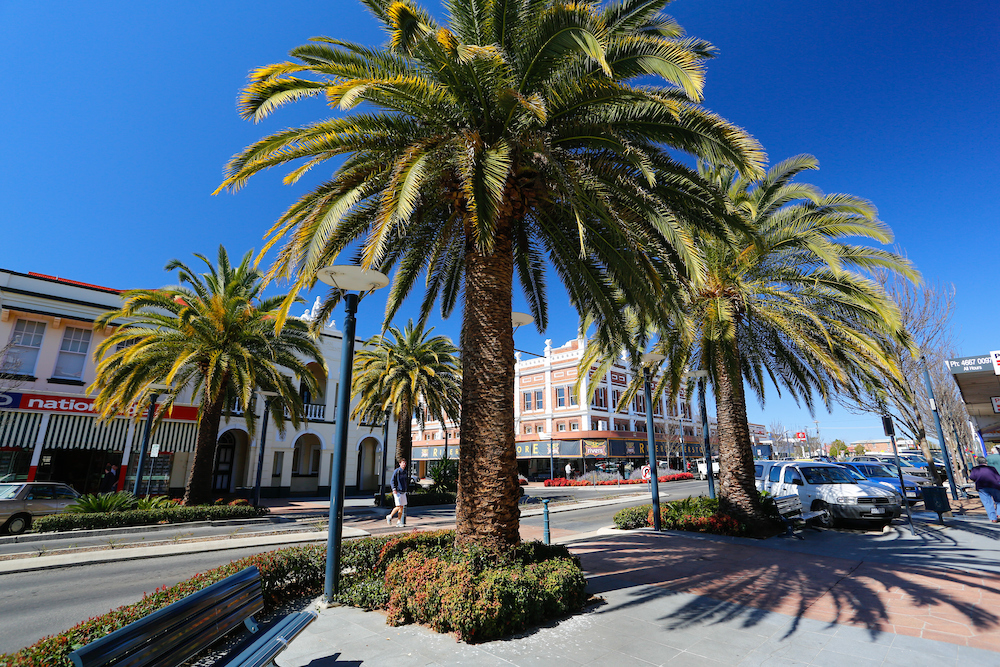 Our Towns