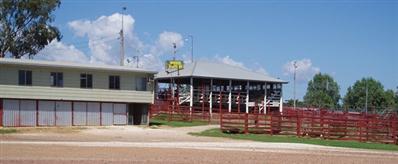 Warwick Saleyards