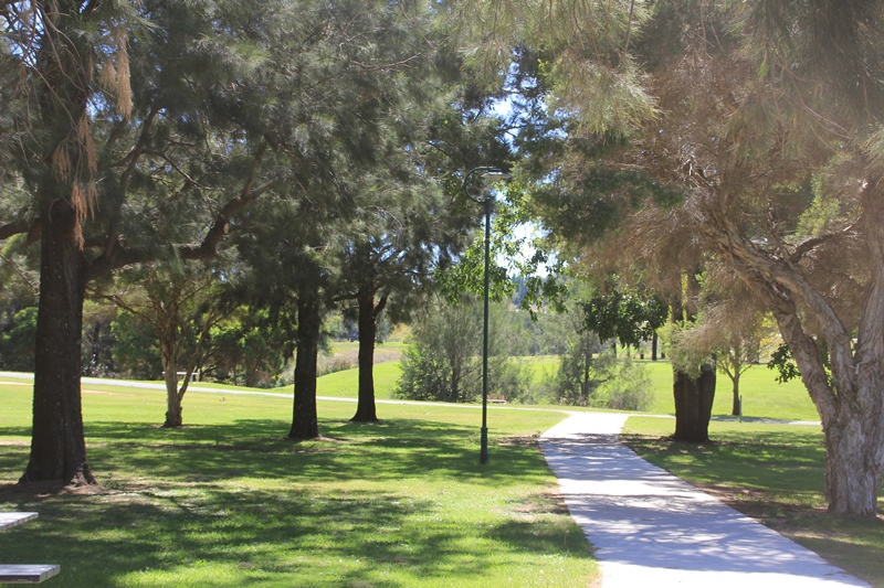 Dalrymple Creek Park - Allora 