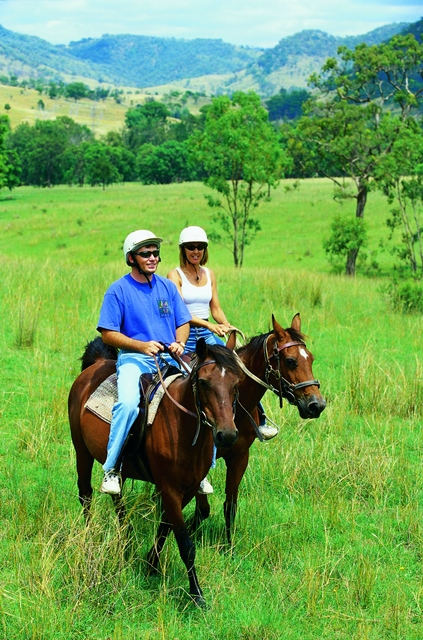 Horse Riding in Southern Downs