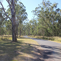 Road