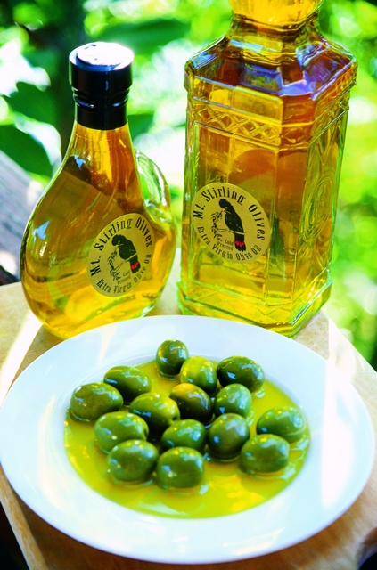 Stanthorpe Olive Oil