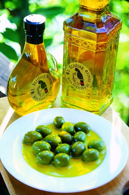 Stanthorpe Olive Oil Stanthorpe Olive Oil