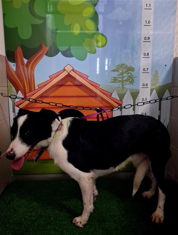 Aug-25-26