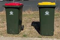 Red and Yellow lid wheelie bins