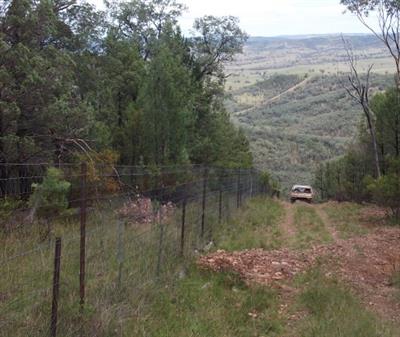 Wild Dog check fence