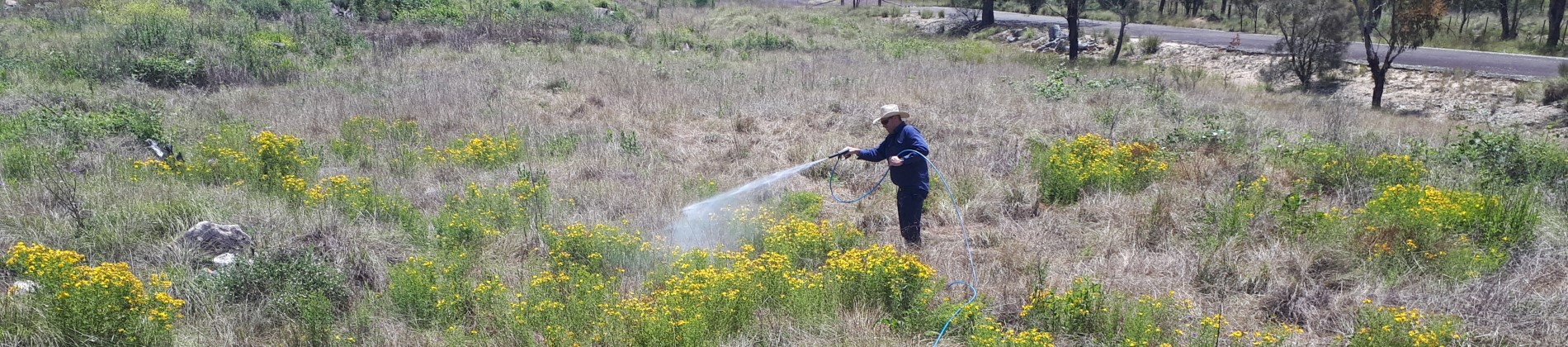 Pest Weed Management