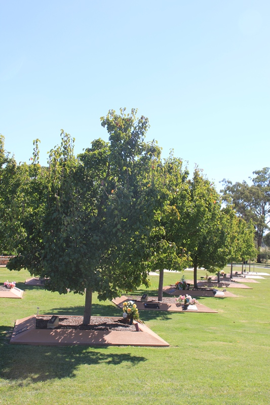 Warwick cemetery - The Grove