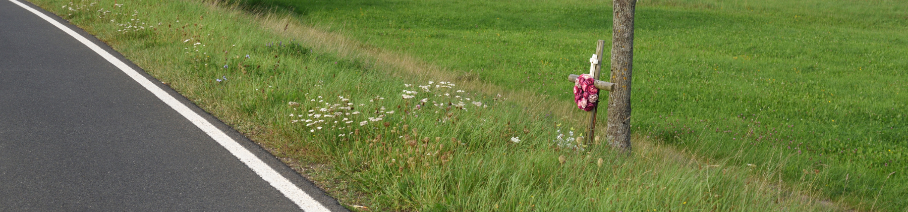 Landing Page_Roadside Memorials