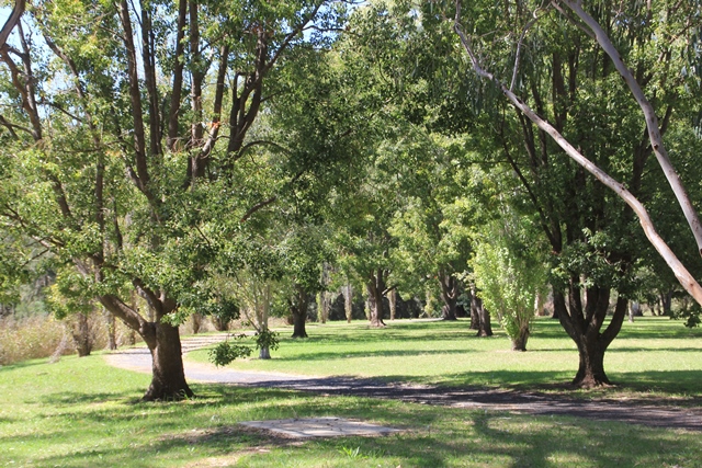 Allora Dalrymple Park walk Allora Dalrymple Park walk