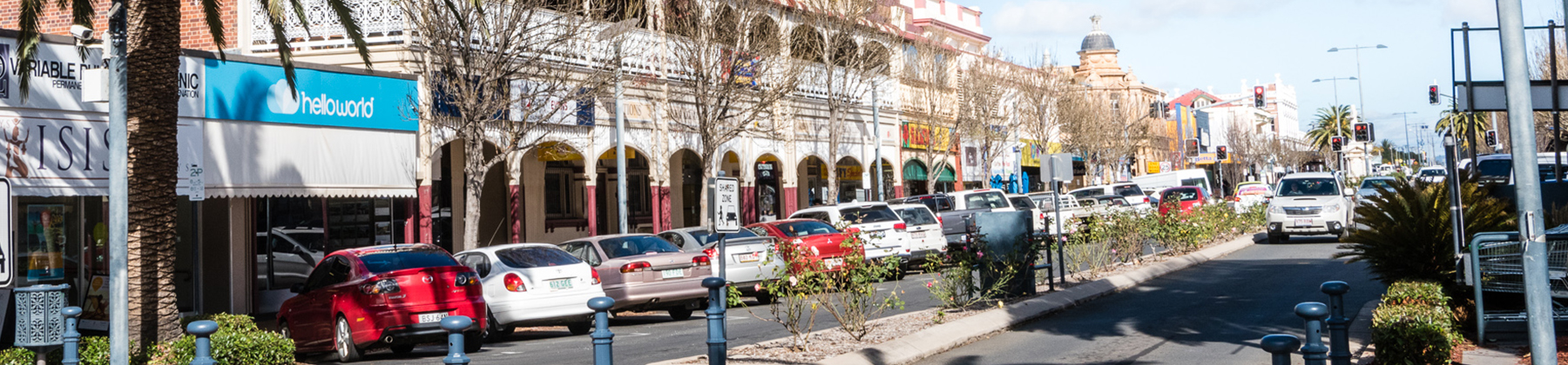 Regulated Parking landing page shows cars parked in Palmerin Street Warwick