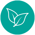 Go paperless Leaf Icon